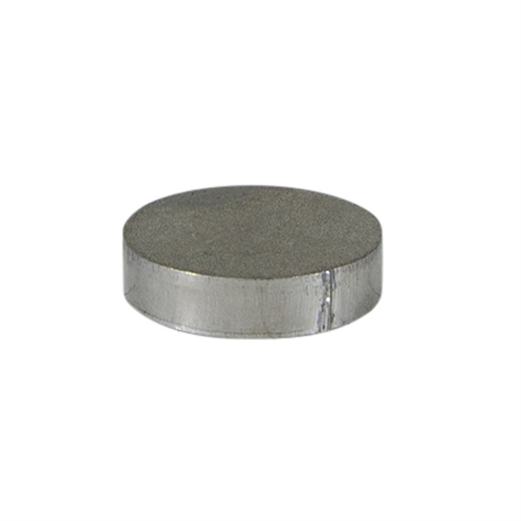 Steel Disk with 1" Diameter and 1/4" Thick D009