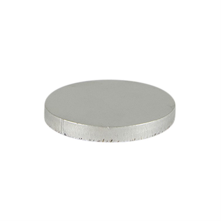 Stainless Steel Disk with 2" Diameter and 1/4" Thick D100